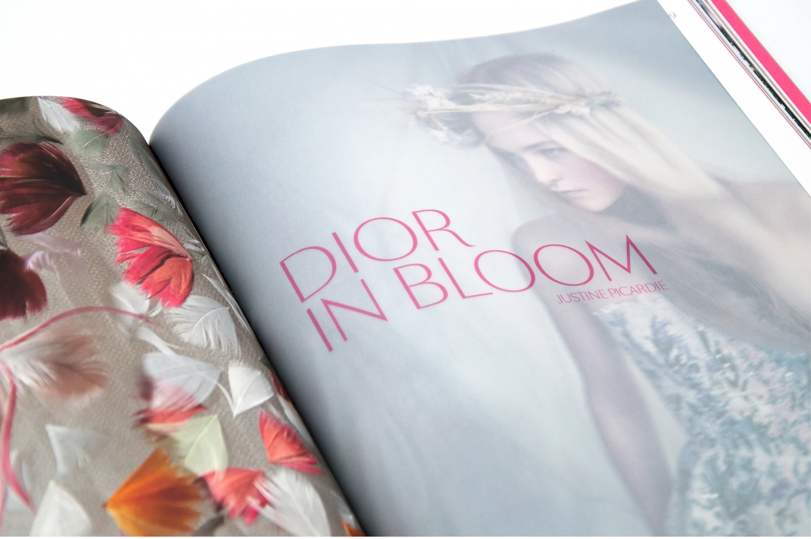 Dior In Bloom